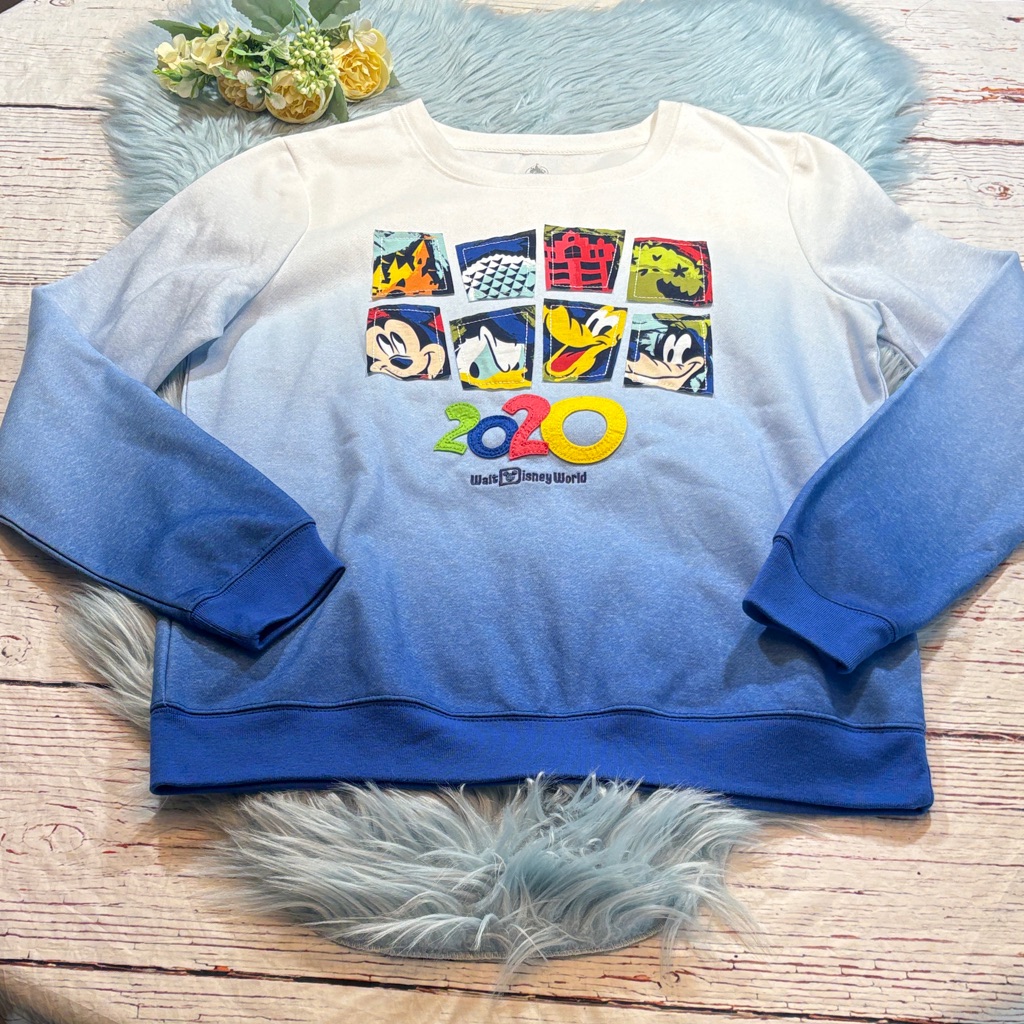 Disney Parks 2020 Blue Ombre Sweatshirt Sz M